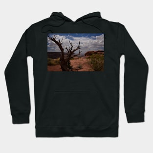 WGC_3244 Hoodie